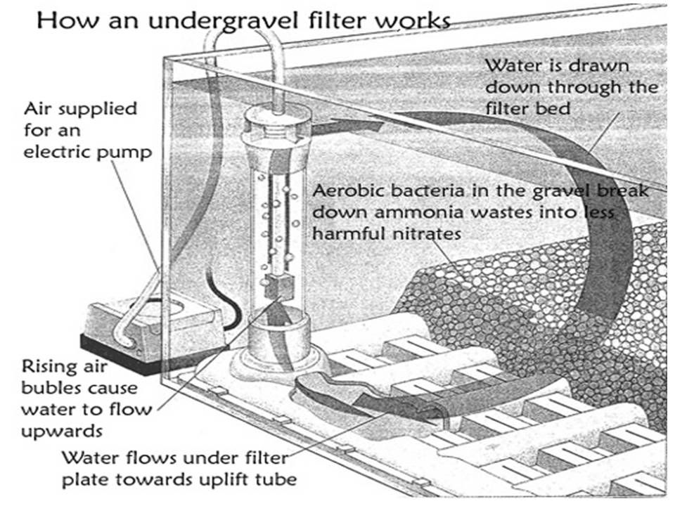 48" Tank Undergravel Filterunder gravel plates. Boyu JAD Airstone 32P